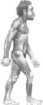 néandetalien